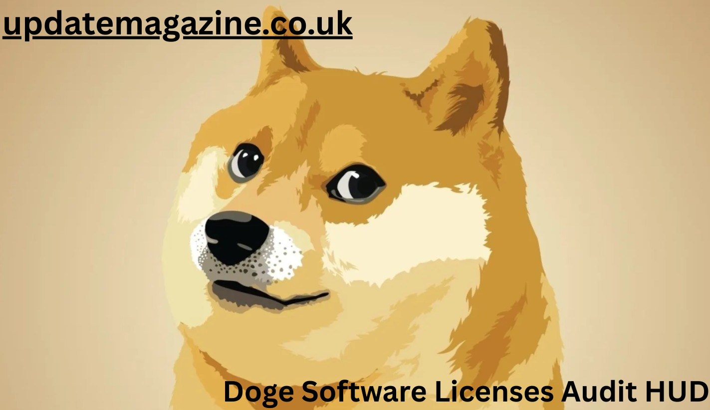 Doge Software Licenses Audit HUD