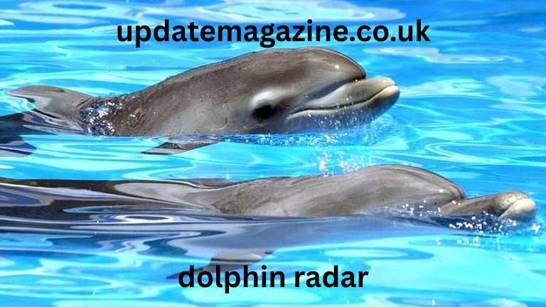 dolphin radar