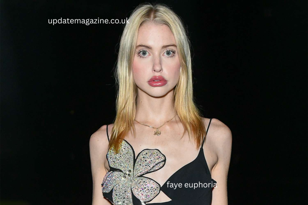 faye euphoria